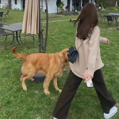 美好正逢时